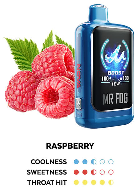 Mr. Fog Nova 36K — Raspberry