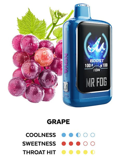 Mr. Fog Nova 36K — Grape