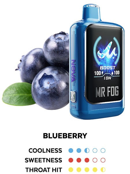 Mr. Fog Nova 36K — Blueberry