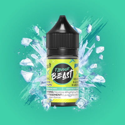Flavour Beast Salts 30mL — Extreme Mint Iced - 20mg