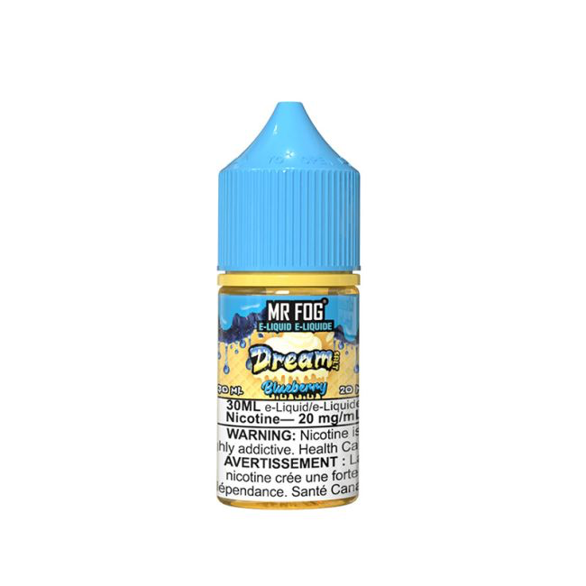 Mr. Fog Dream 30mL — Blueberry