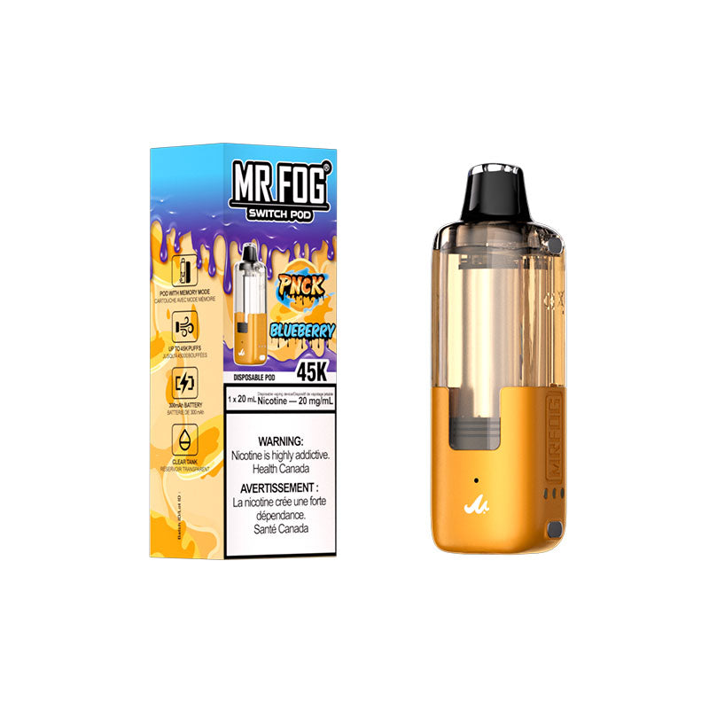 Mr. Fog Switch Pod — Pnck Blueberry